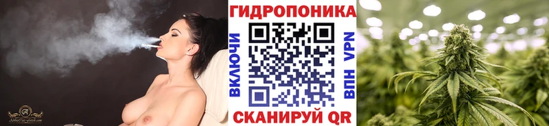Бошки Шишки Керчь